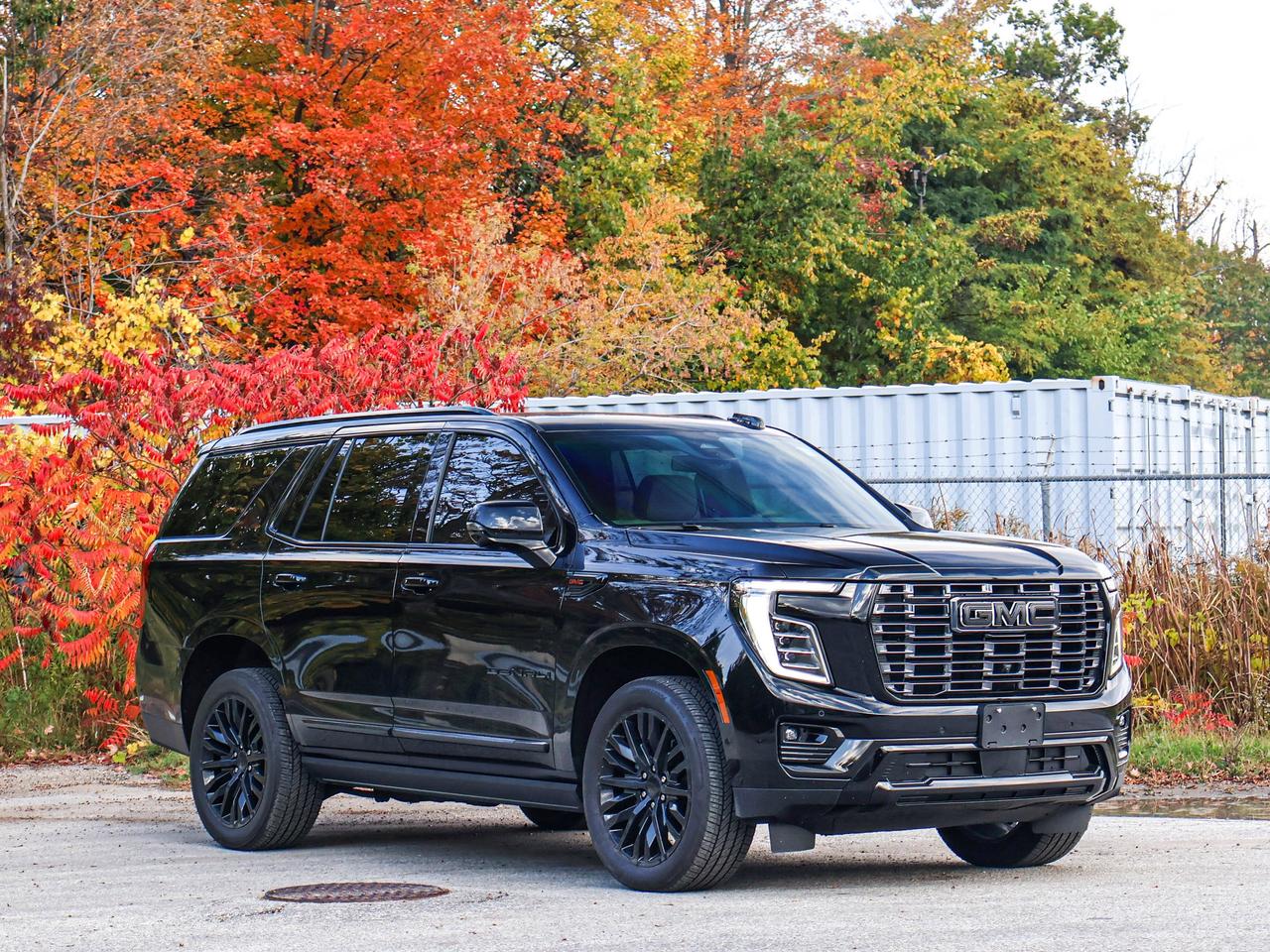 2025 GMC Yukon Denali Photo