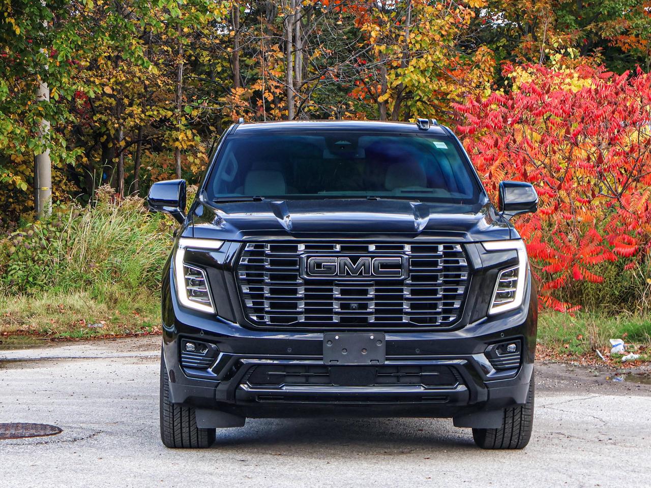 2025 GMC Yukon Denali Photo