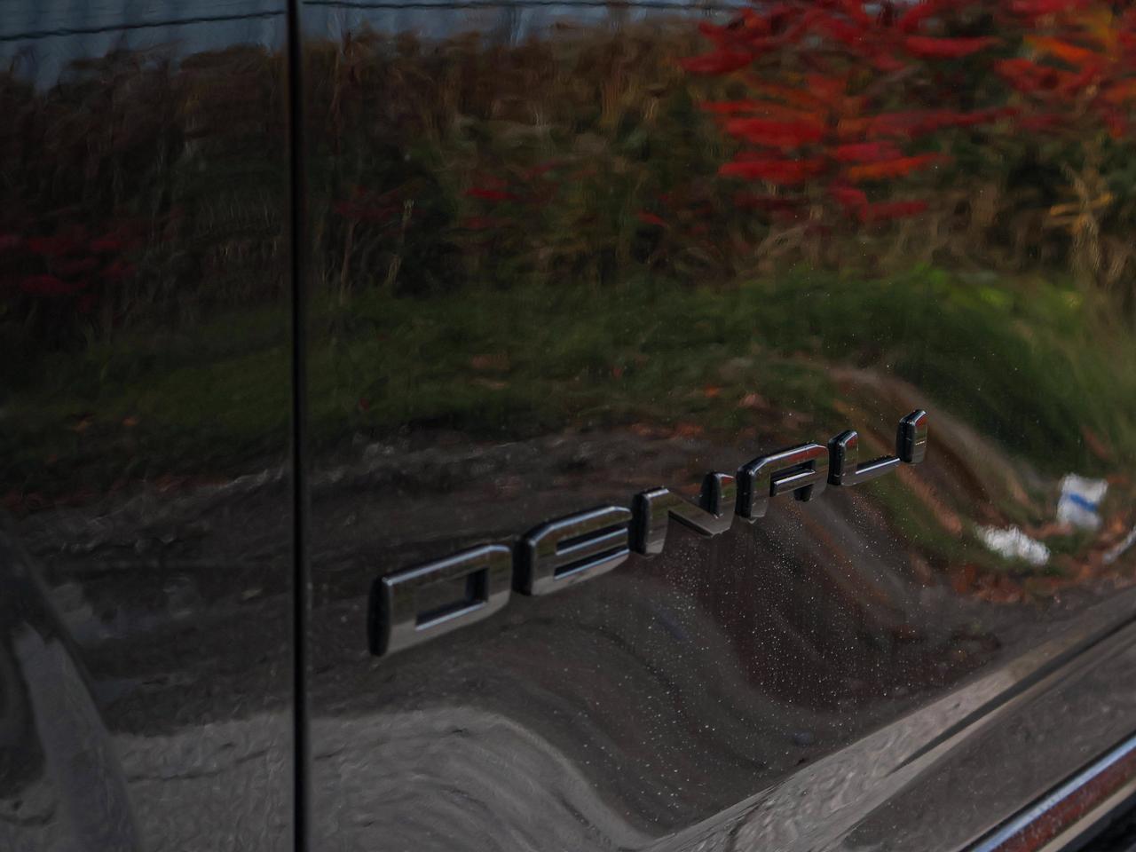 2025 GMC Yukon Denali Photo