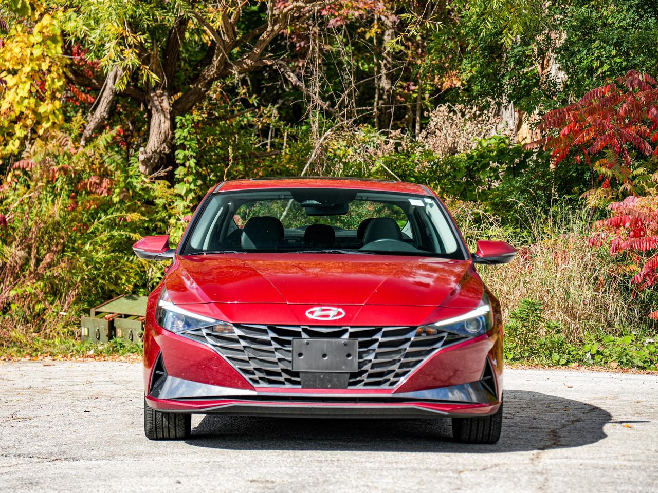2023 Hyundai Elantra Luxury Photo4