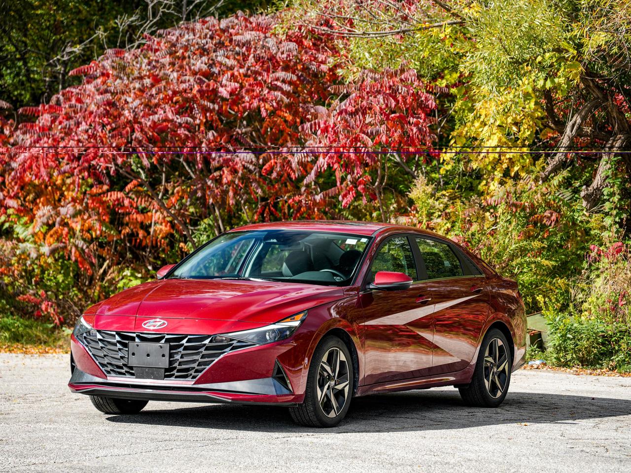 2023 Hyundai Elantra Luxury Photo
