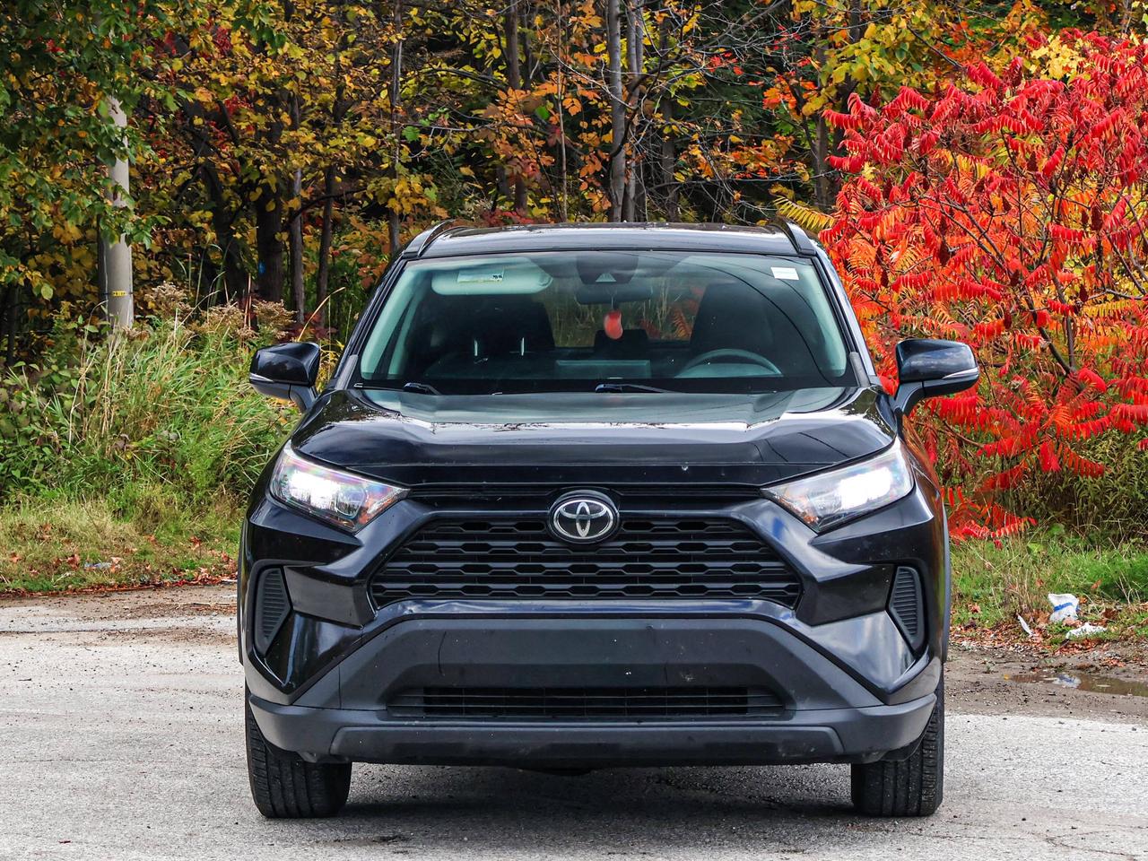2020 Toyota RAV4 LE Photo