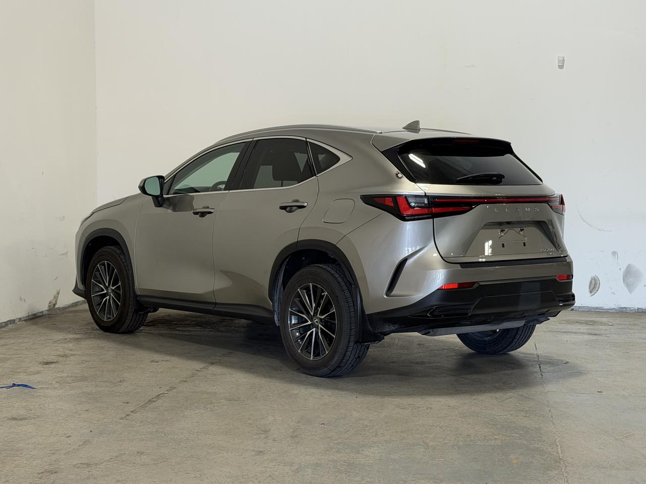 2022 Lexus NX NX 250 Photo
