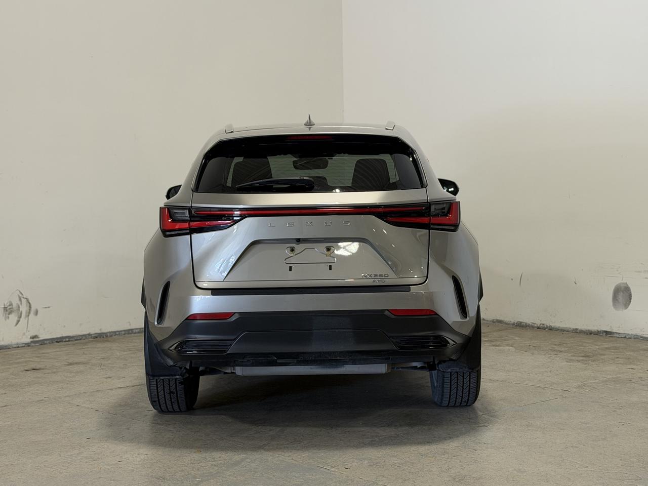 2022 Lexus NX NX 250 Photo4