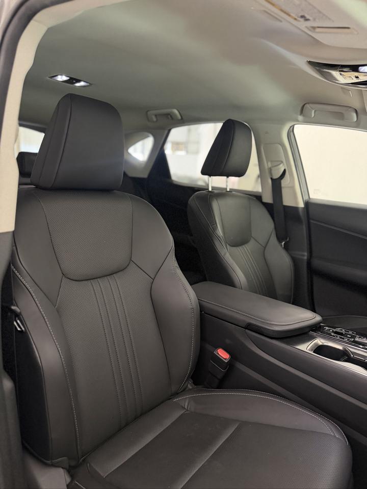 2022 Lexus NX NX 250 Photo