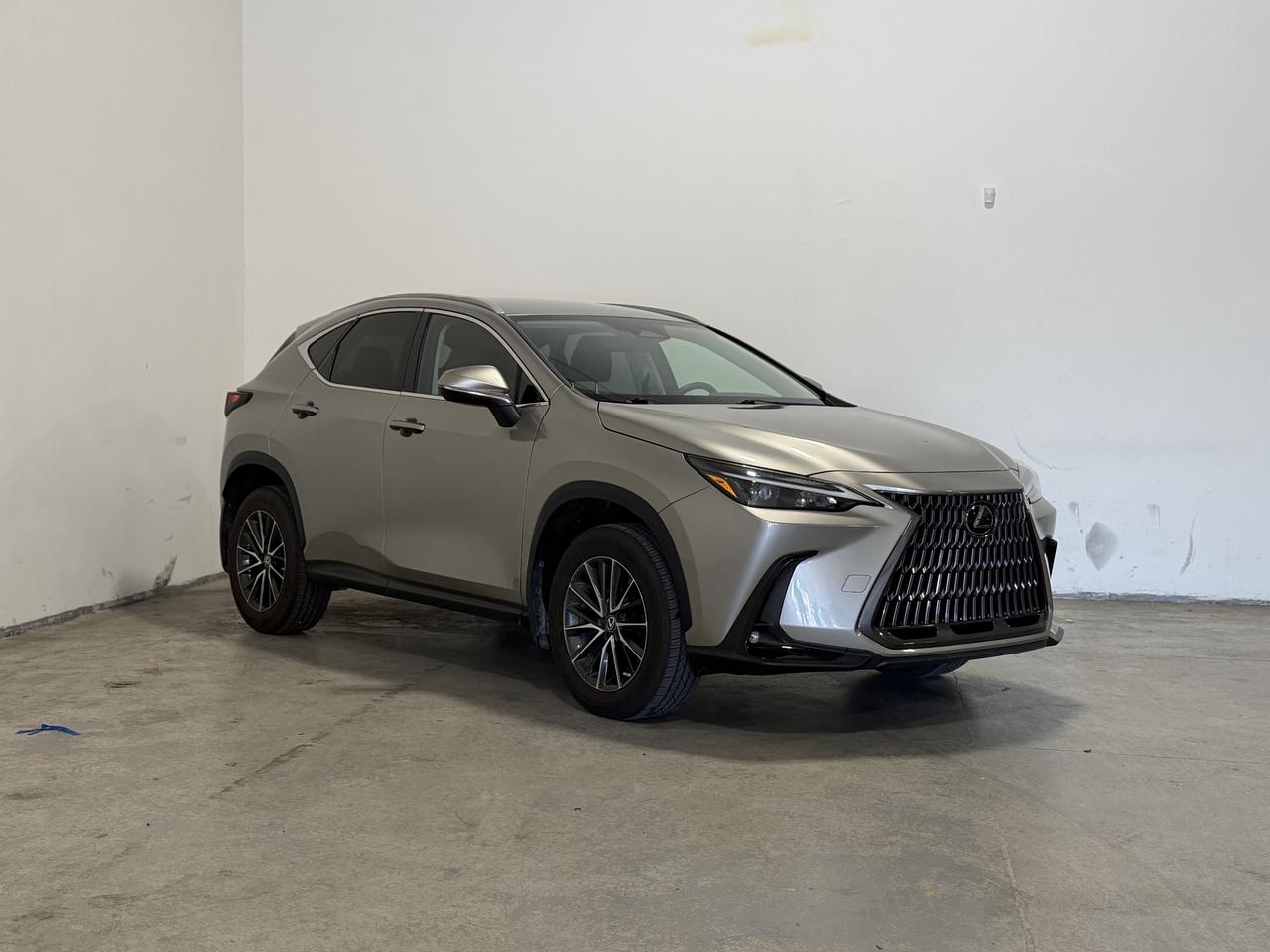 2022 Lexus NX NX 250 Photo2
