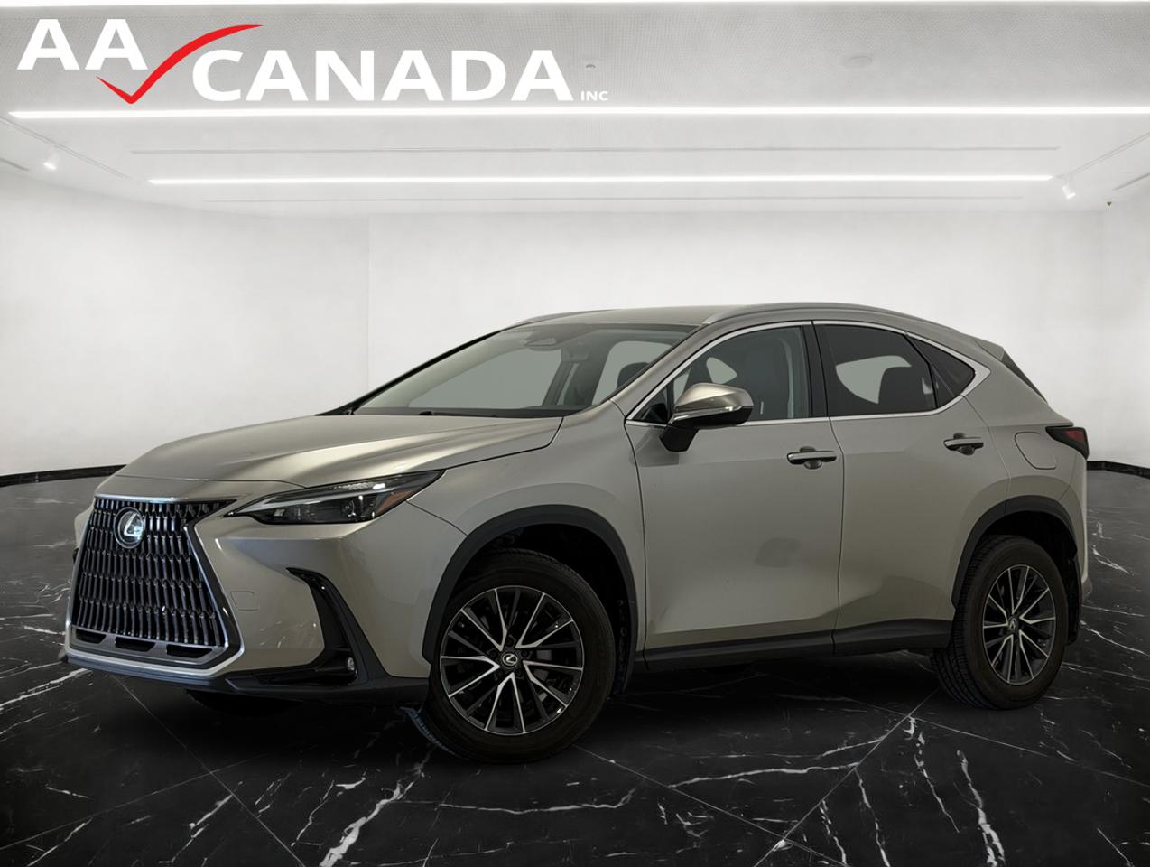 2022 Lexus NX 250 AWD