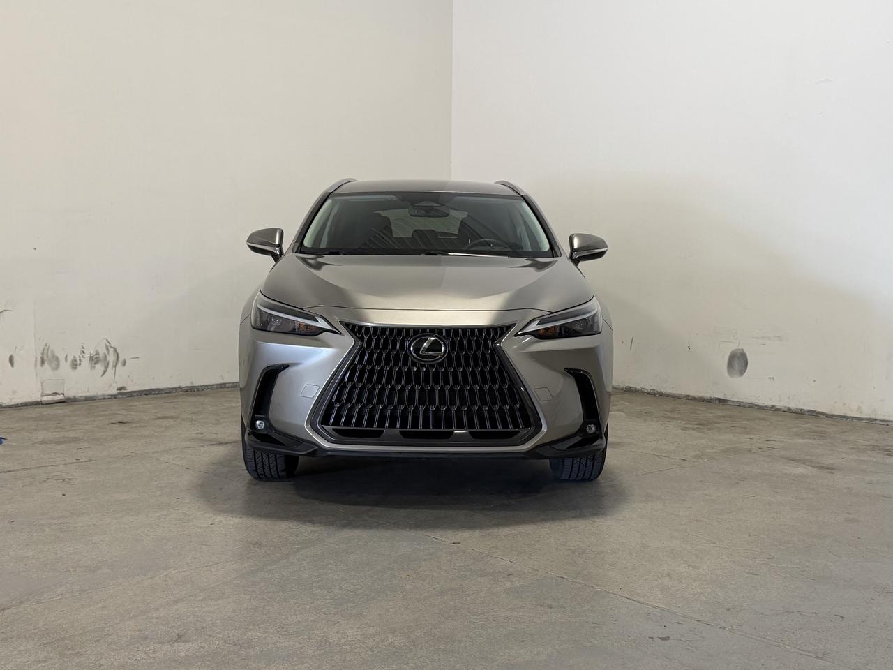 2022 Lexus NX NX 250 Photo1