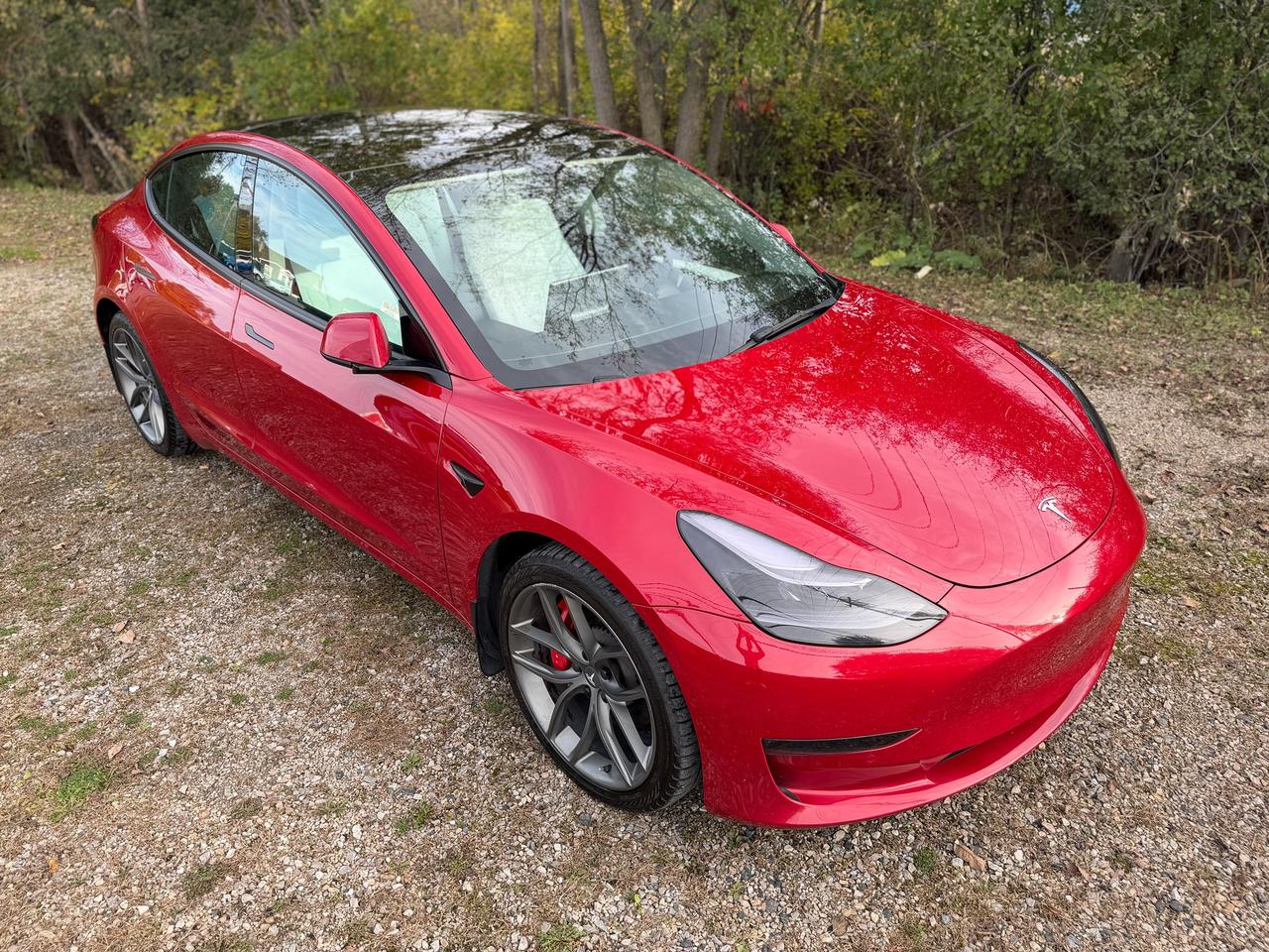 2022 Tesla Model 3 Performance AWD | 0-100 in 3.3s | Clean CARFAX Photo