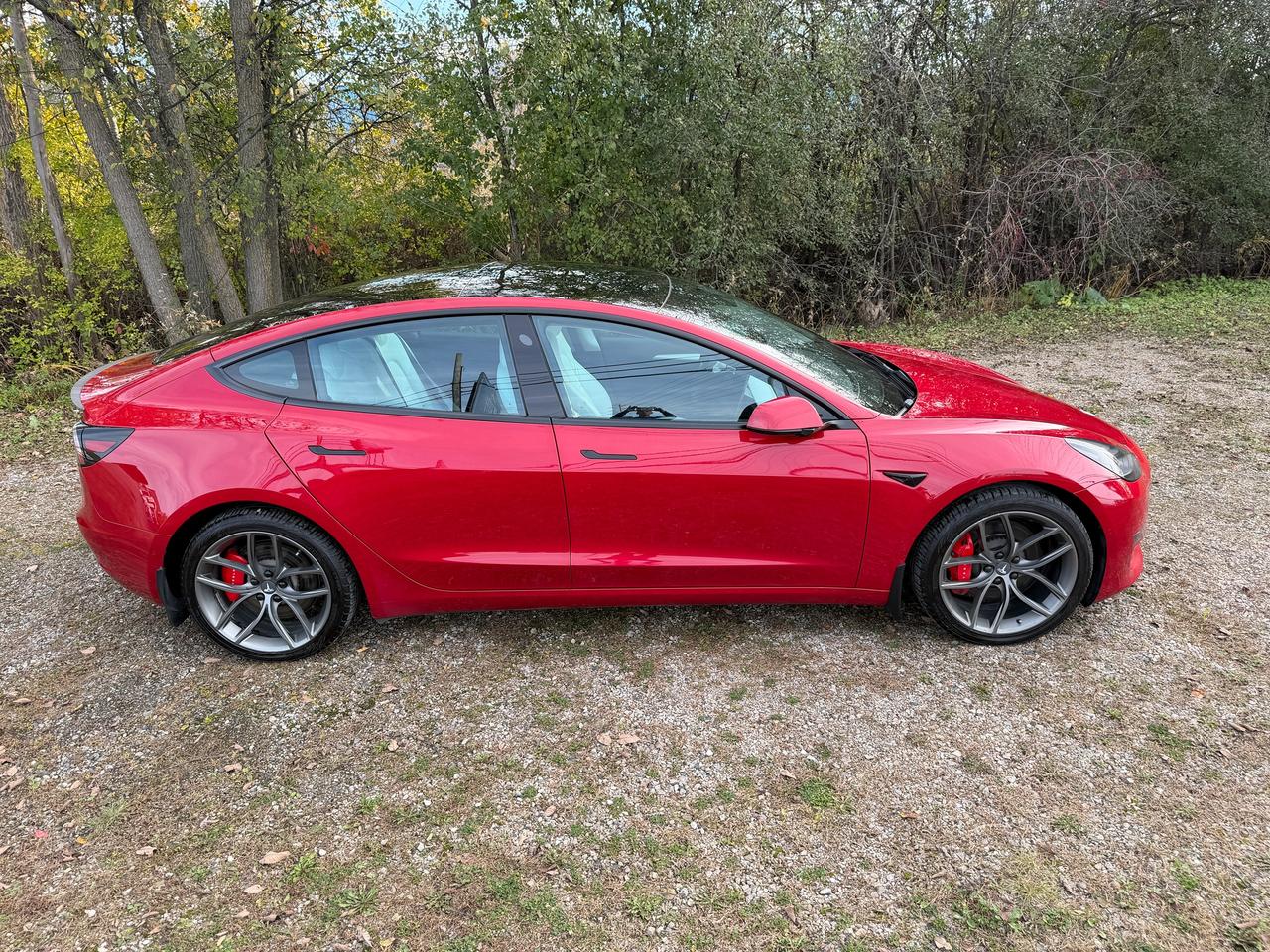 2022 Tesla Model 3 Performance AWD | 0-100 in 3.3s | Clean CARFAX Photo