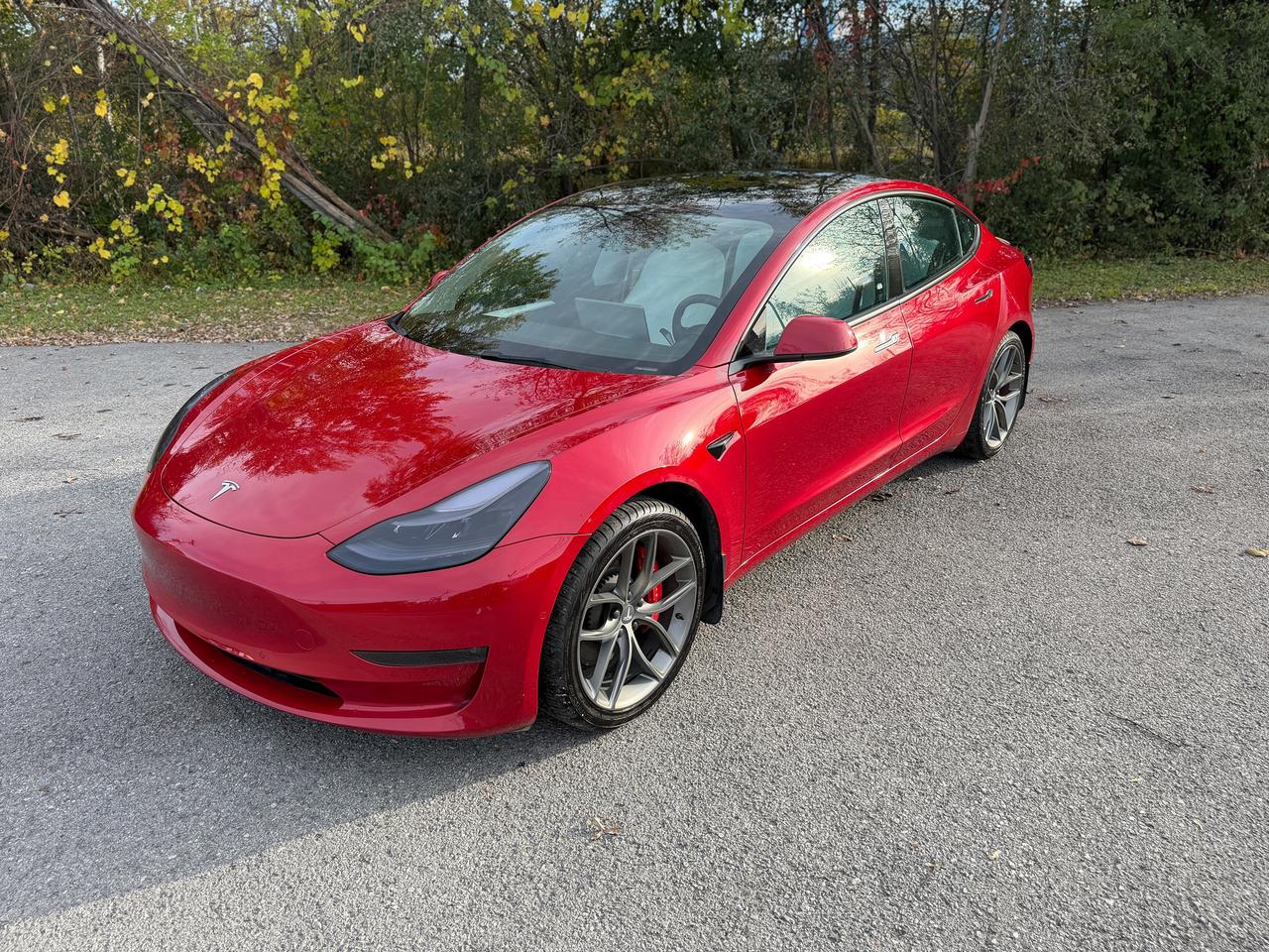 2022 Tesla Model 3 Performance AWD | 0-100 in 3.3s | Clean CARFAX Photo