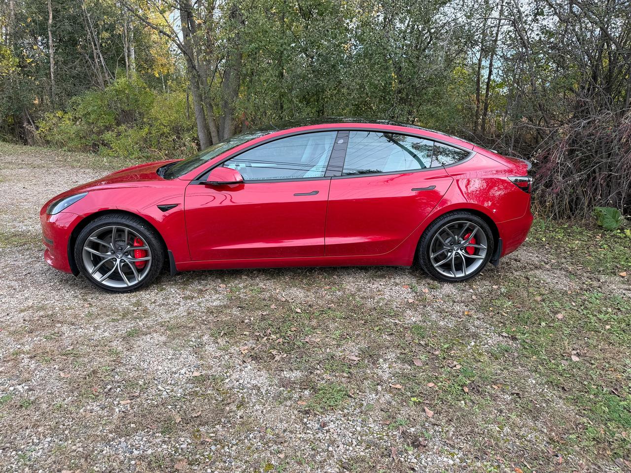 2022 Tesla Model 3 Performance AWD | 0-100 in 3.3s | Clean CARFAX Photo