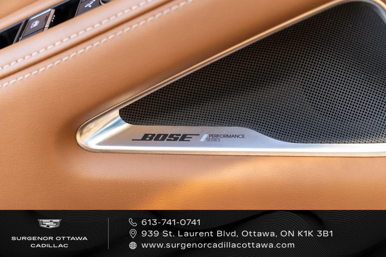 2022 Infiniti QX60 Autograph AWD Photo