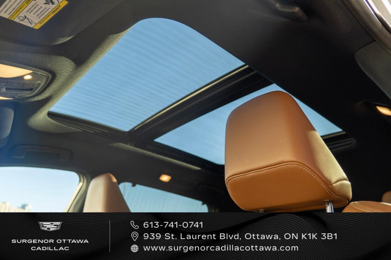 2022 Infiniti QX60 Autograph AWD Photo