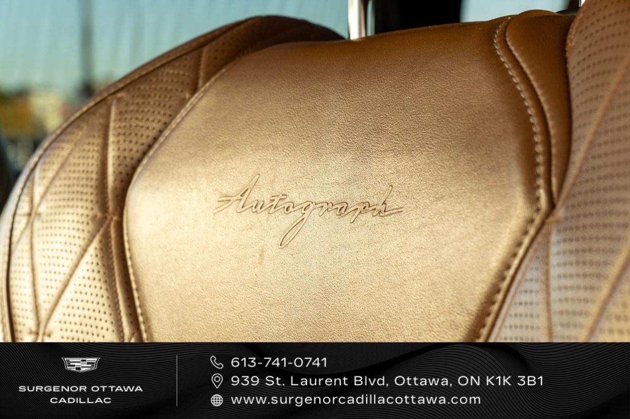 2022 Infiniti QX60 Autograph AWD Photo