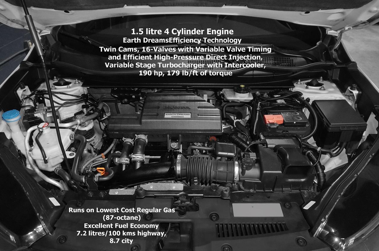 2019 Honda CR-V EX-L Photo