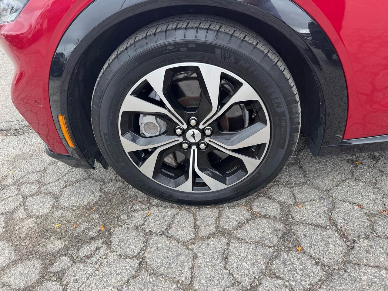 2021 Ford Mustang Mach-E Premium AWD Photo