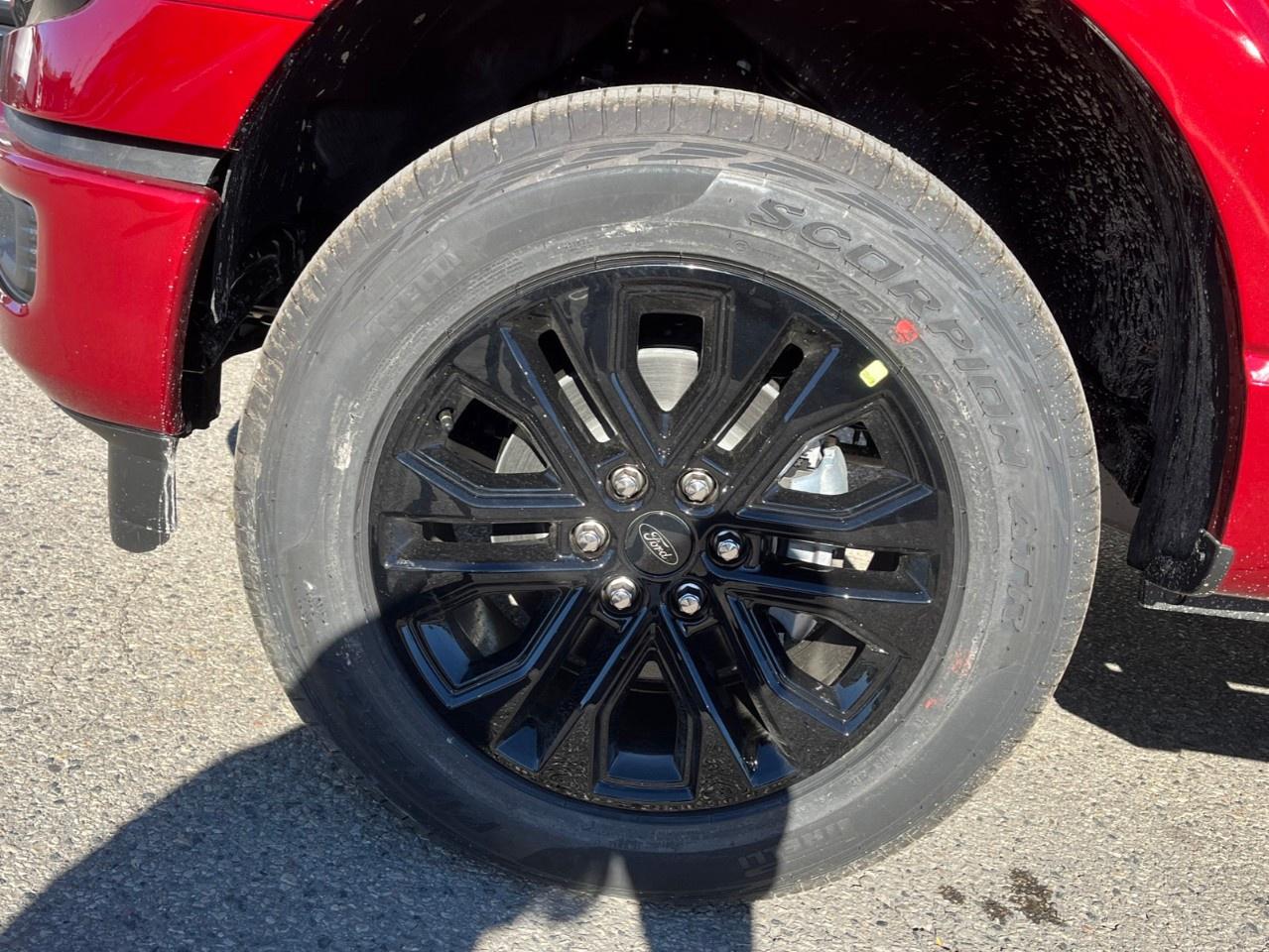 2026 Ford F-150 XLT 4WD SuperCrew 5.5' Box Photo