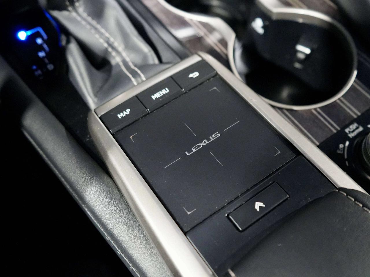 2020 Lexus RX 350 DRIVER ASSIST| Photo