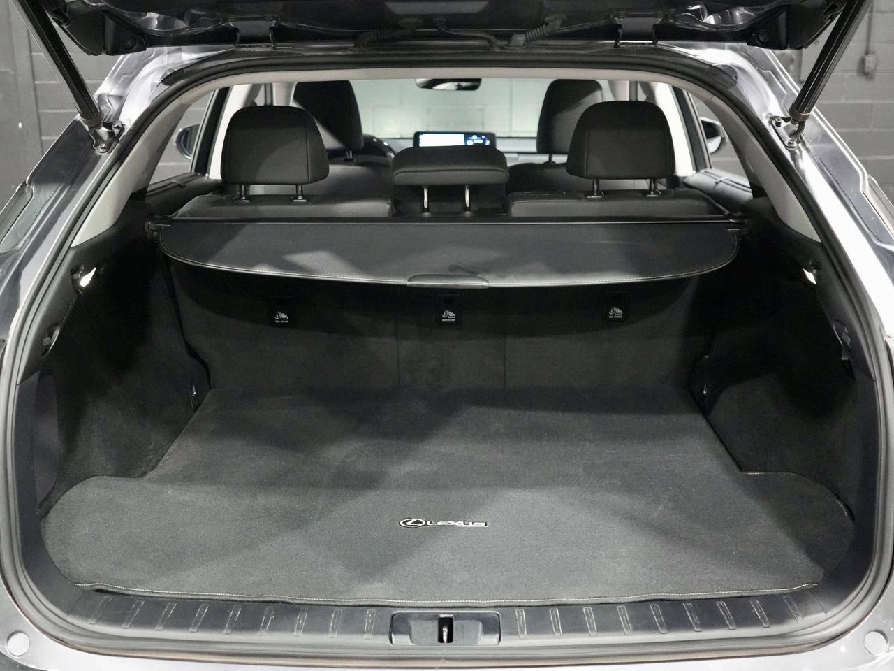2020 Lexus RX 350 DRIVER ASSIST| Photo