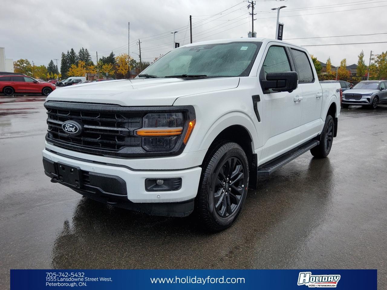 2026 Ford F-150 XLT Photo