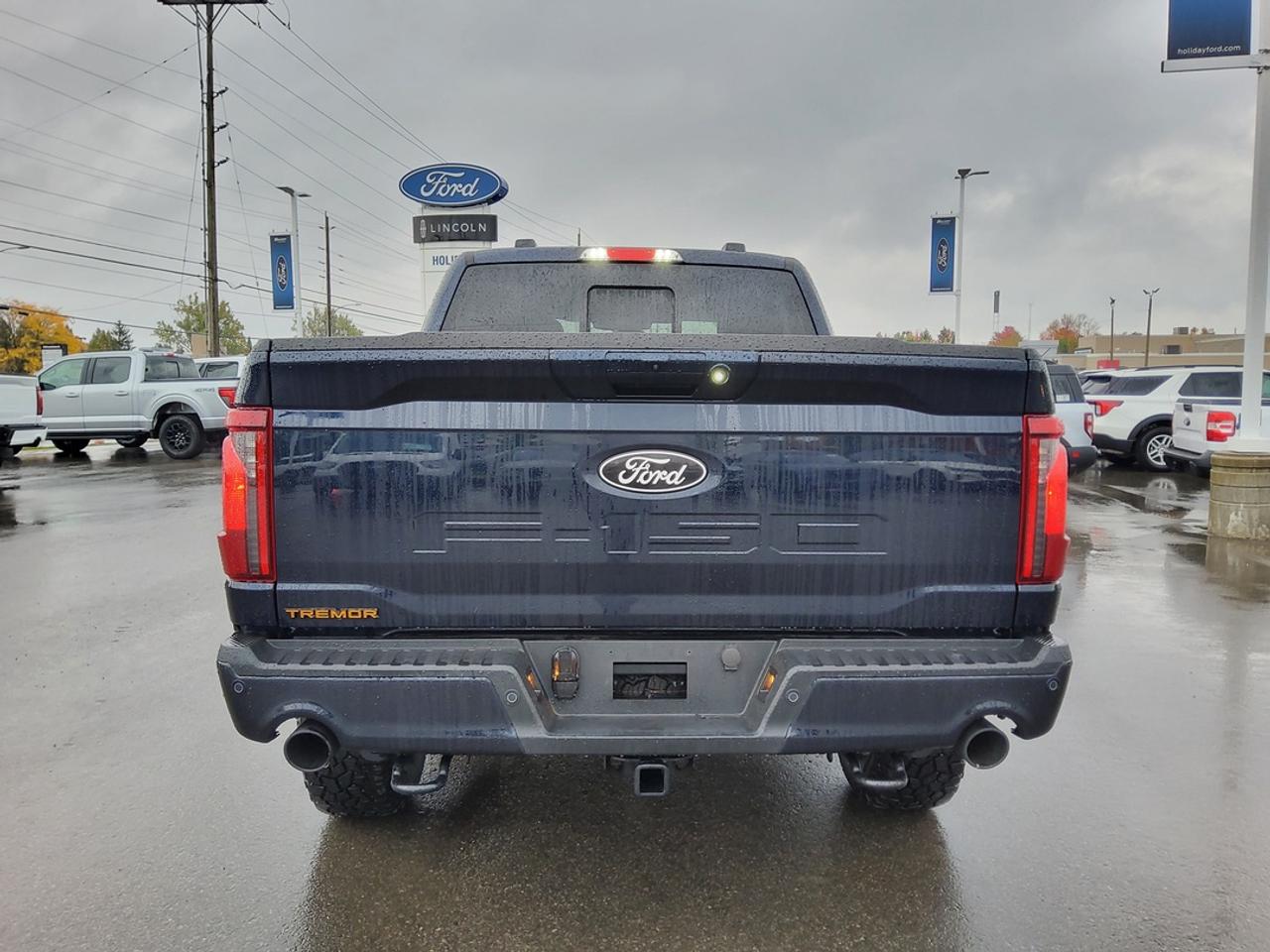 2026 Ford F-150 Tremor Photo