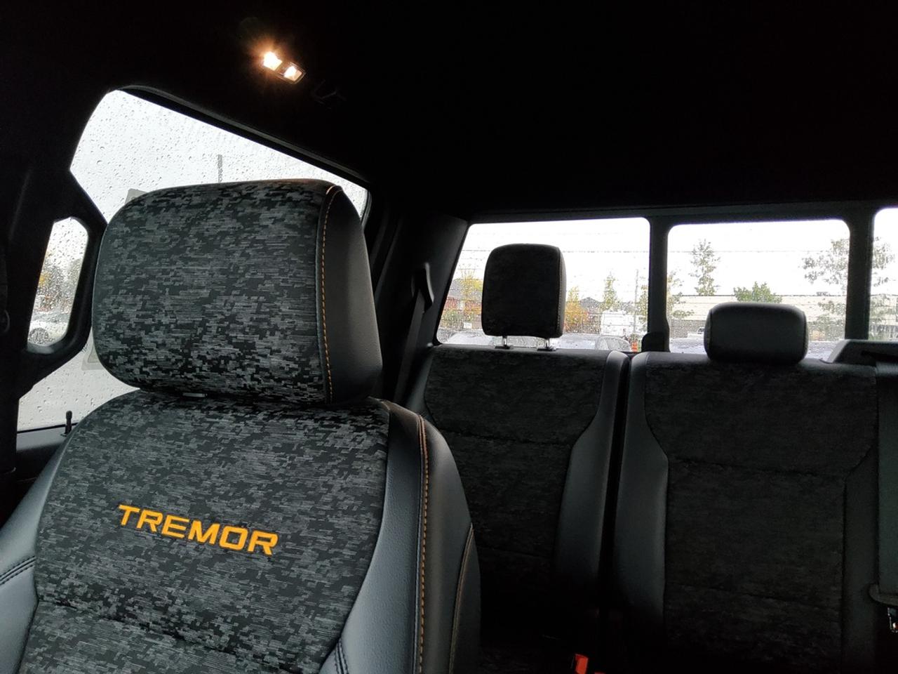 2026 Ford F-150 Tremor Photo