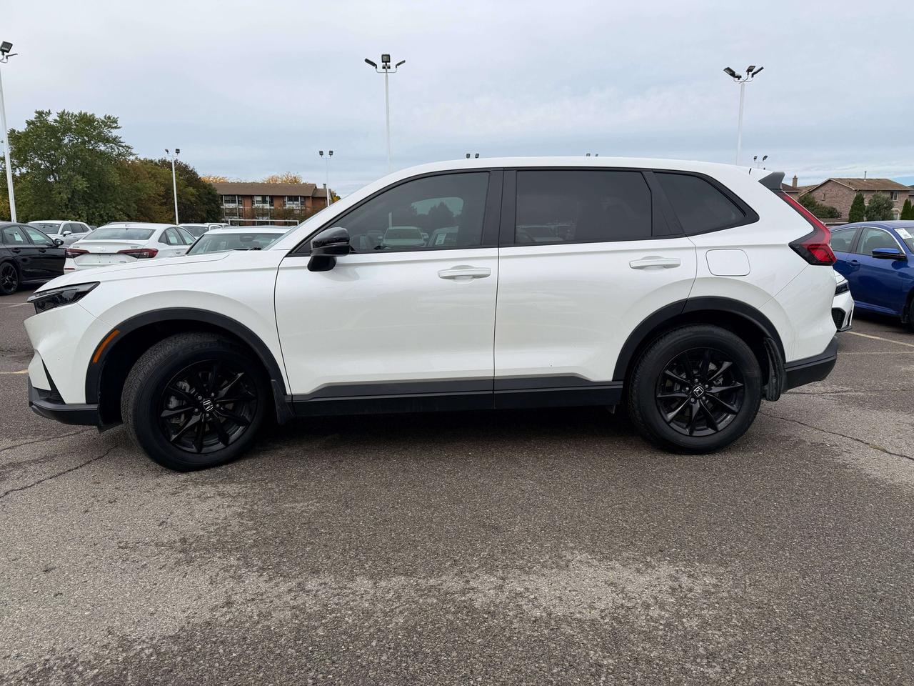 2026 Honda CR-V EX-L   HYBRID   LEATHER   SUNROOF   NO CLAIMS Photo