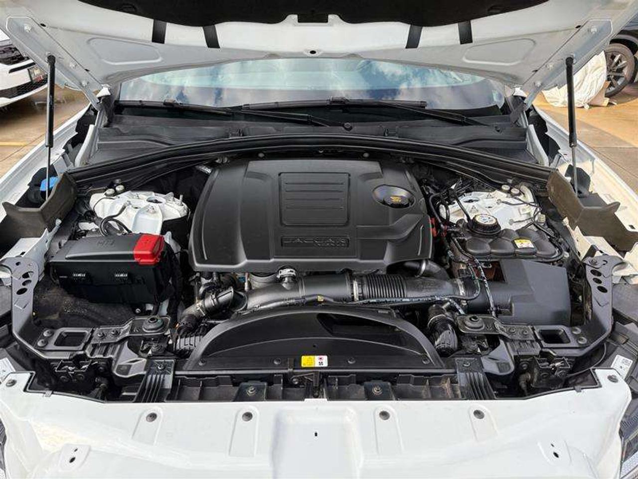2023 Hyundai Elantra N-Line Ultimate Photo