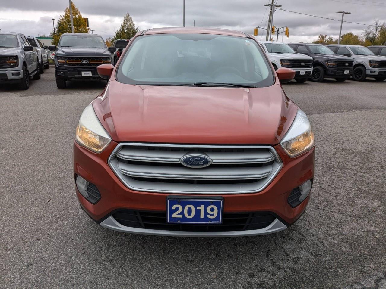 2019 Ford Escape SE FWD Photo1
