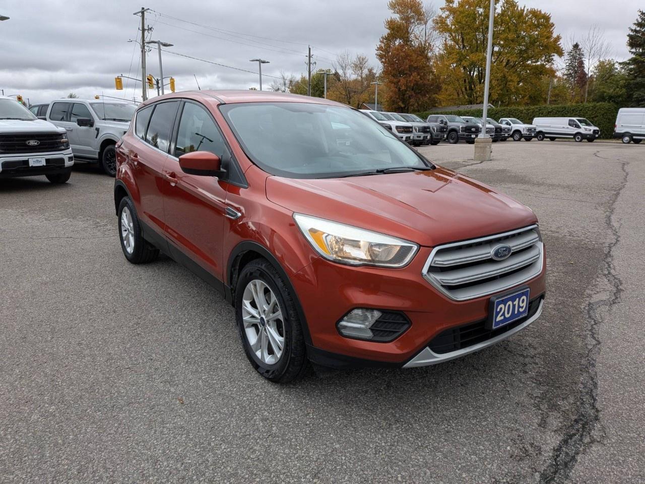 2019 Ford Escape SE FWD Photo