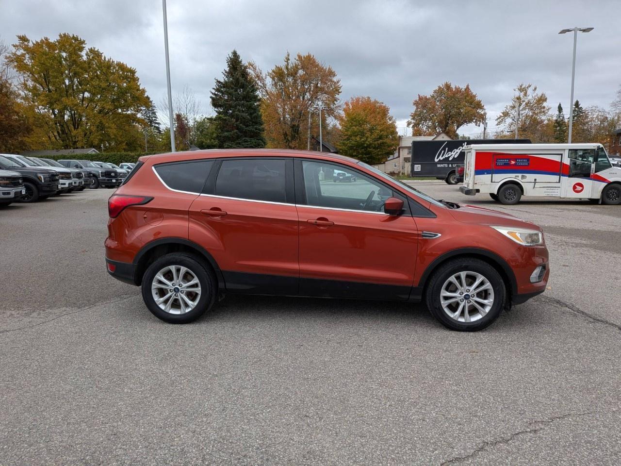 2019 Ford Escape SE FWD Photo