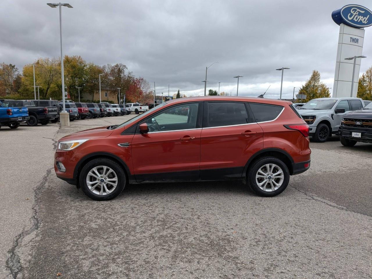 2019 Ford Escape SE FWD Photo