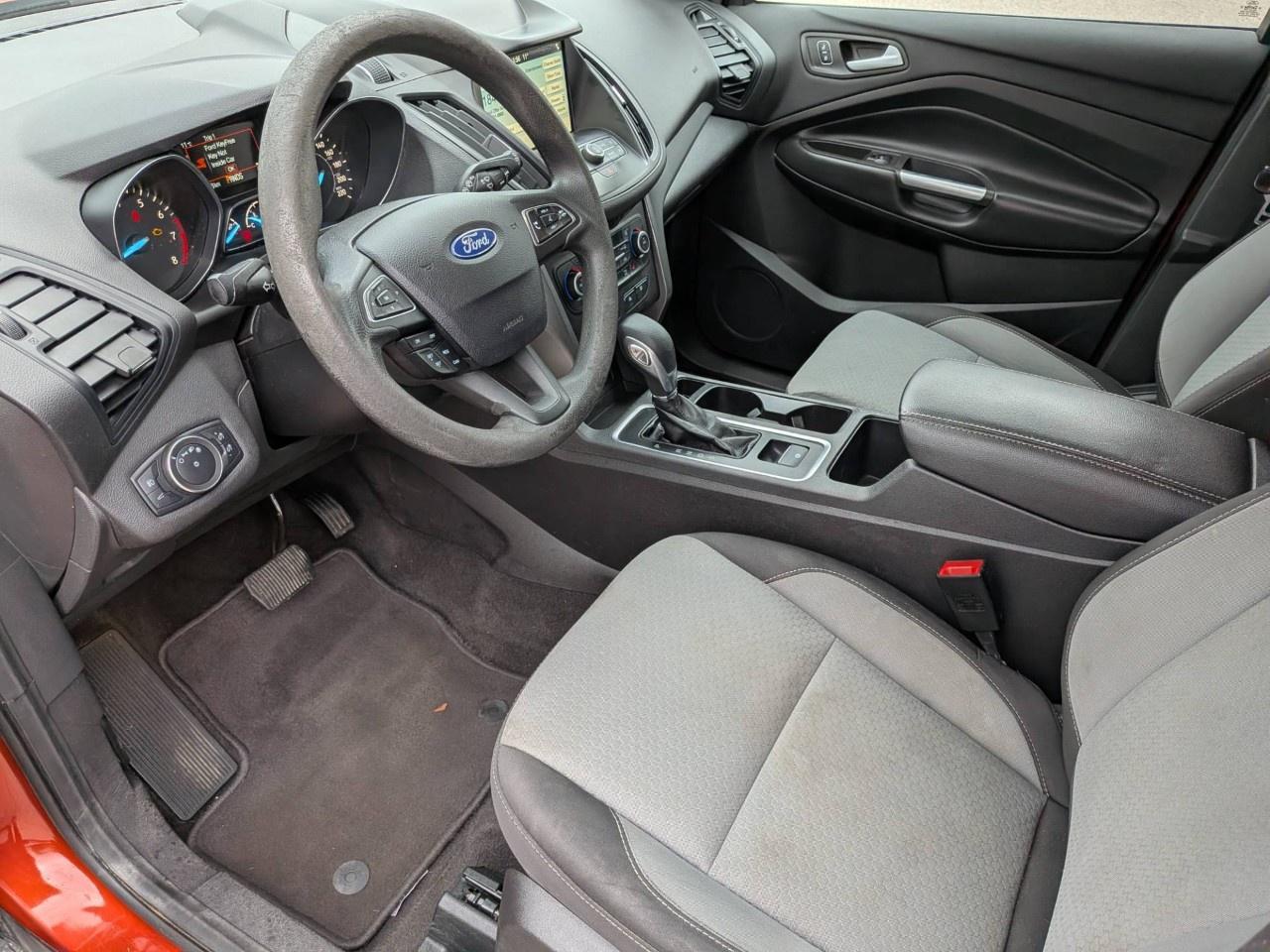 2019 Ford Escape SE FWD Photo