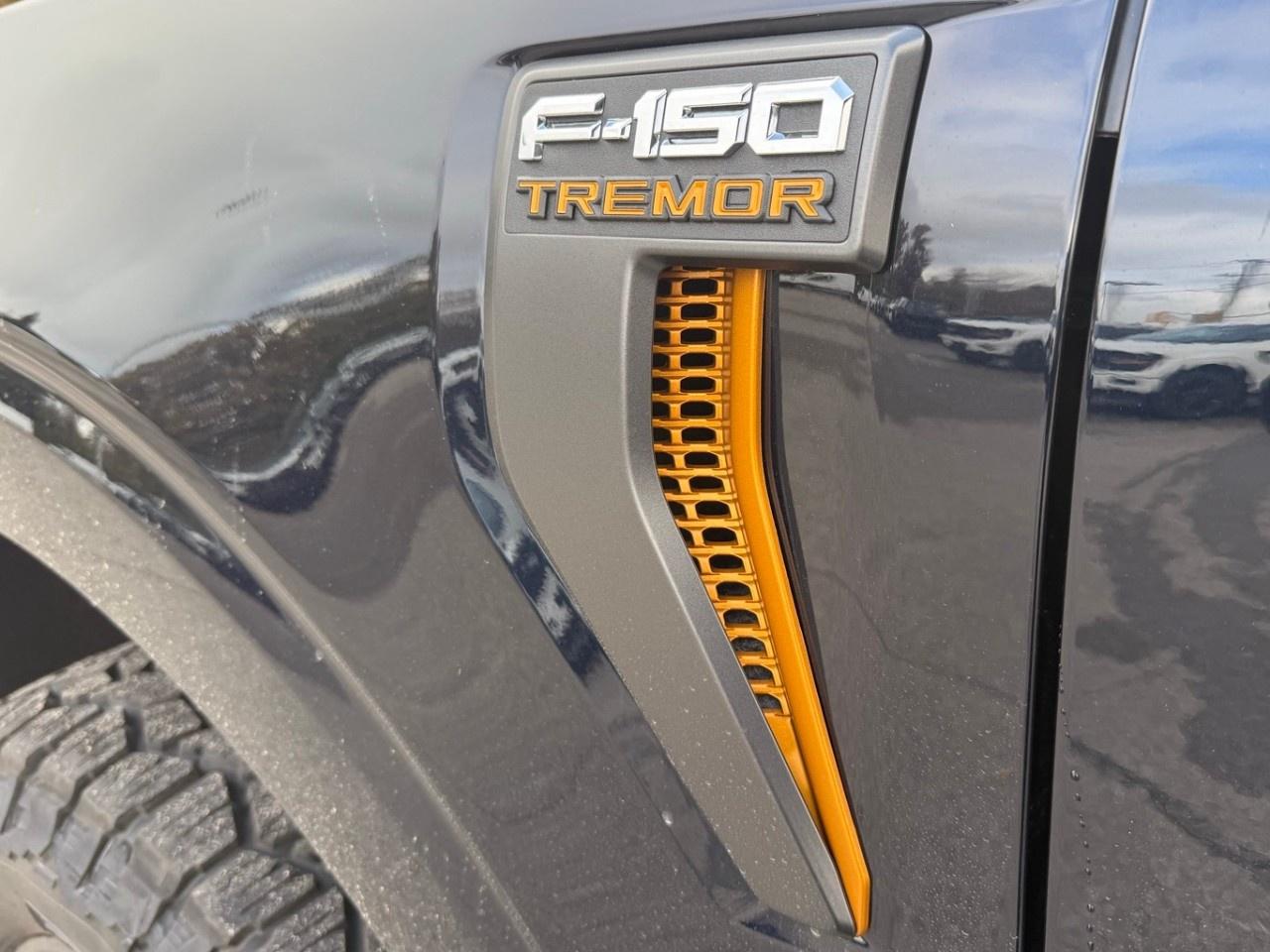 2026 Ford F-150 Tremor 4WD SuperCrew 5.5' Box Photo