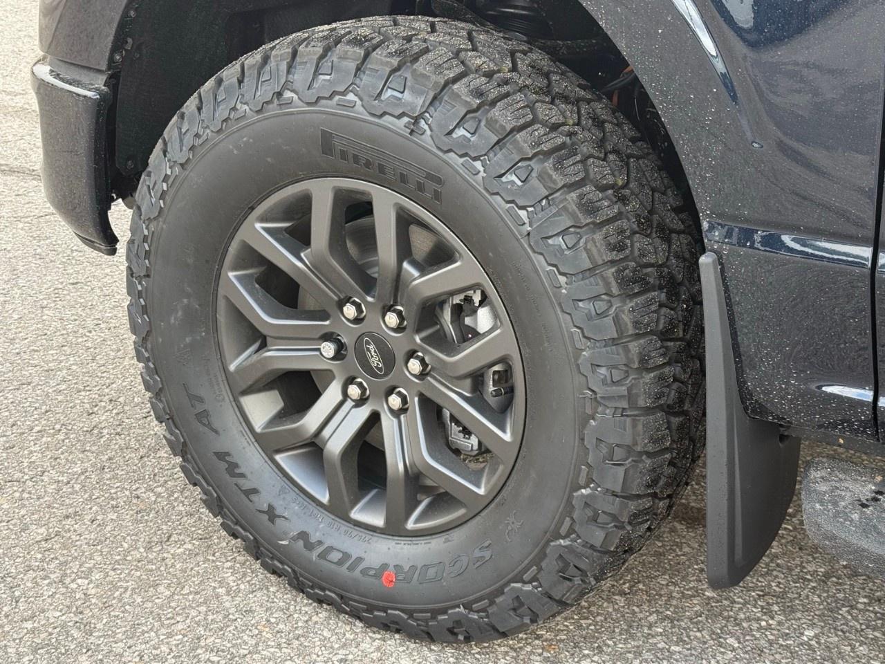 2026 Ford F-150 Tremor 4WD SuperCrew 5.5' Box Photo