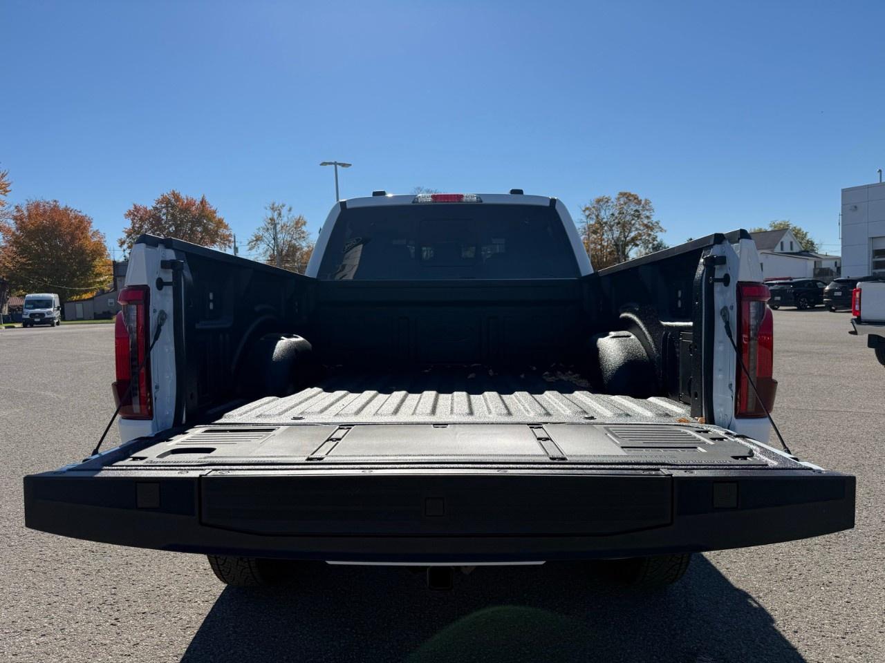 2026 Ford F-150  Photo