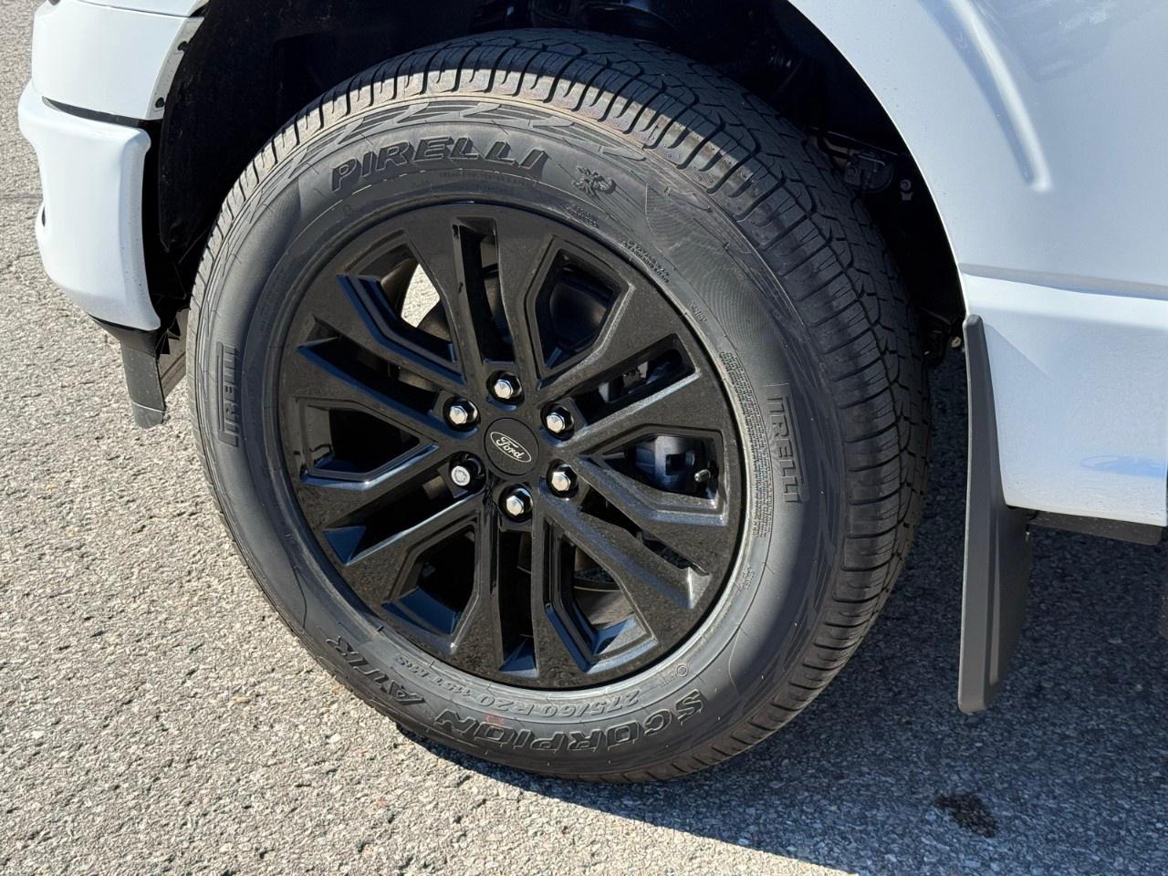2026 Ford F-150  Photo