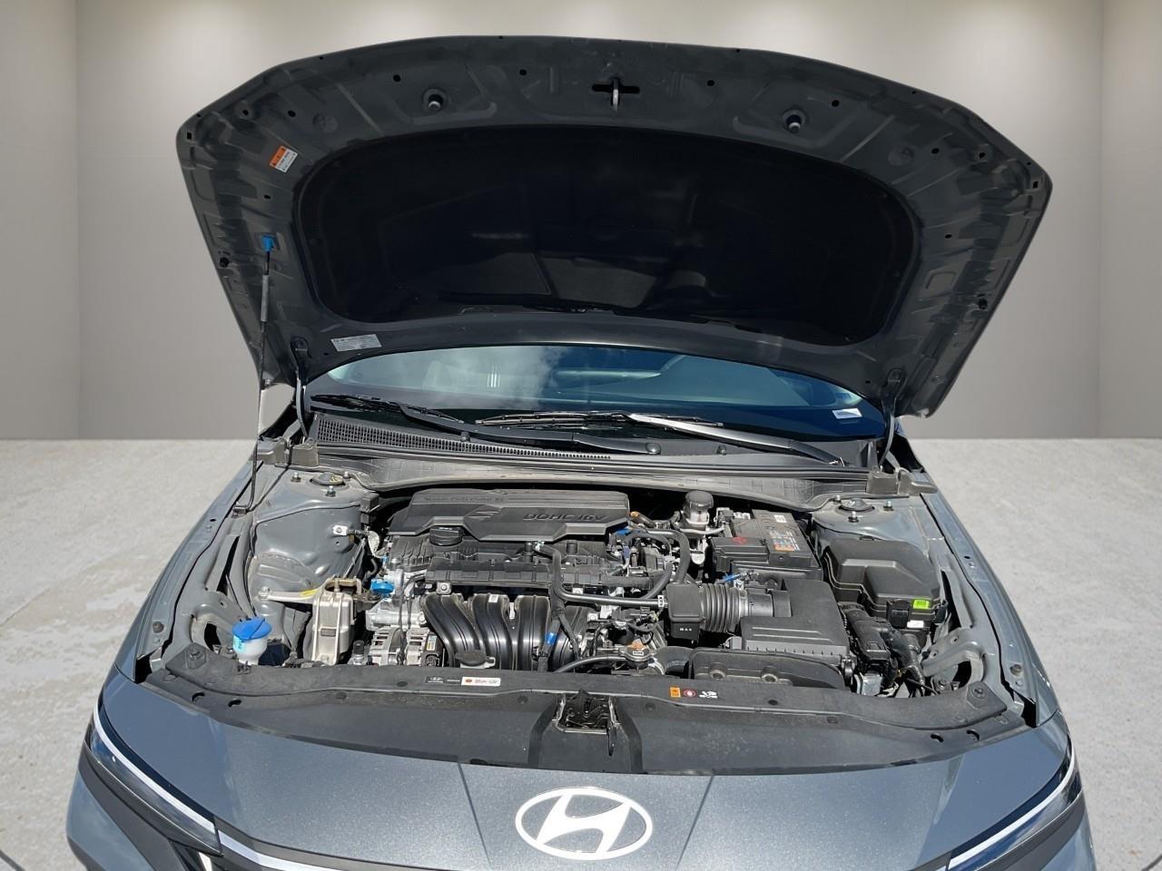 2026 Hyundai Elantra  Photo