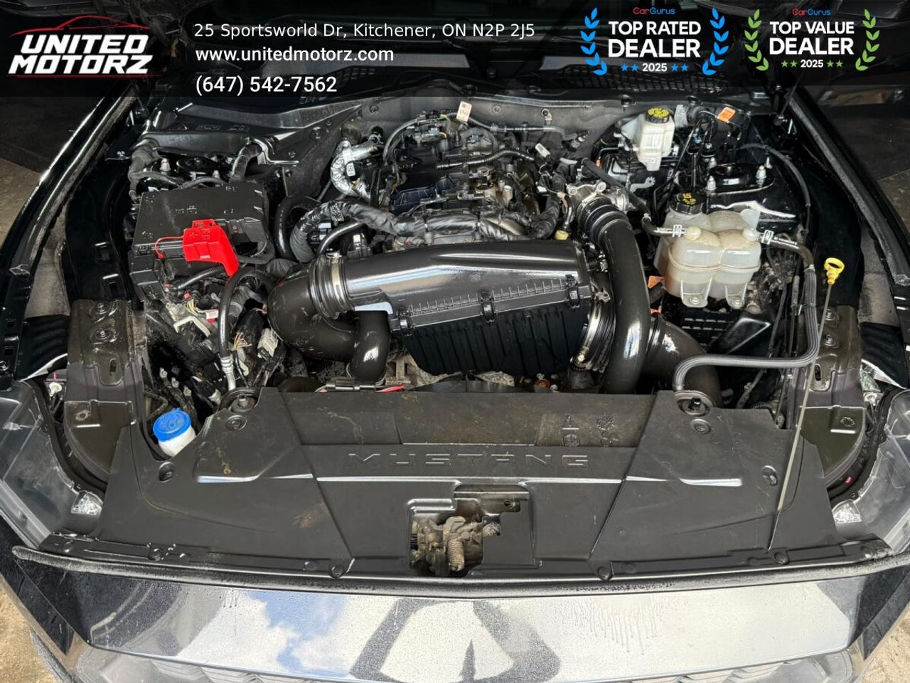 2024 Ford Mustang EcoBoost RWD 2.3L 4cyl~SAFETY CERTIFIED~ Photo