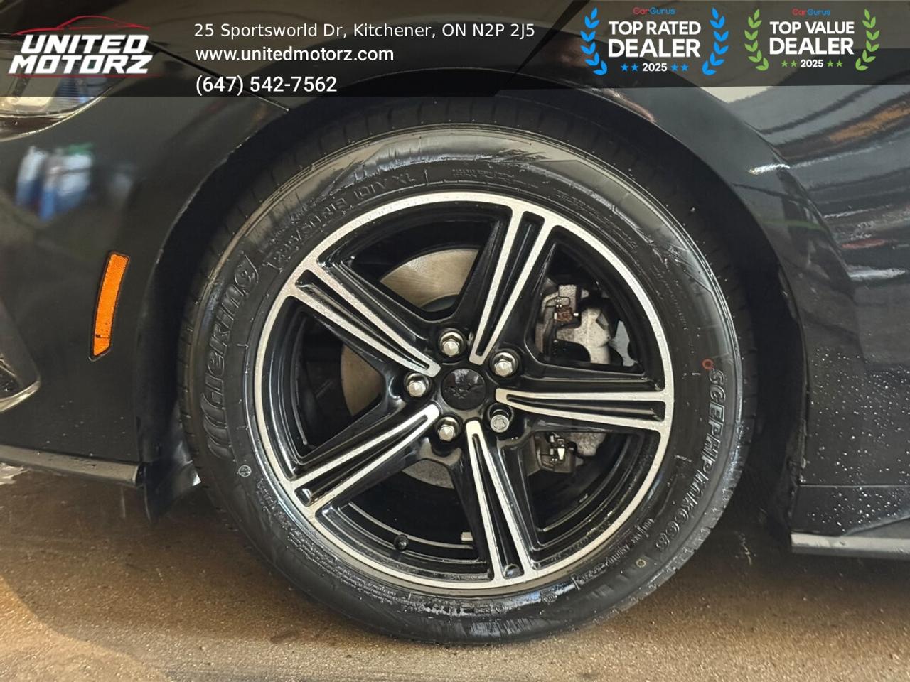 2024 Ford Mustang EcoBoost RWD 2.3L 4cyl~SAFETY CERTIFIED~ Photo