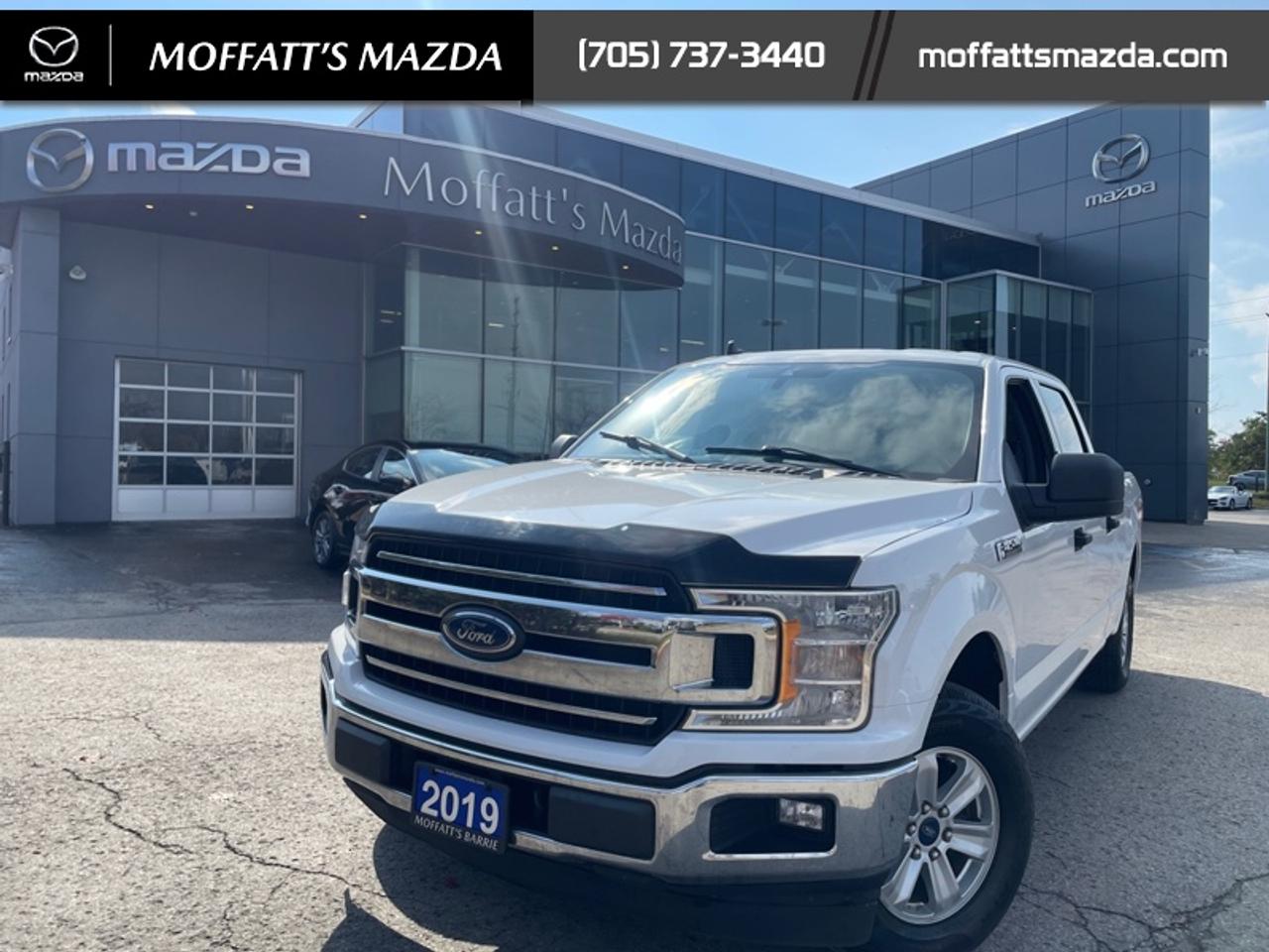 2019 Ford F-150 XL Photo