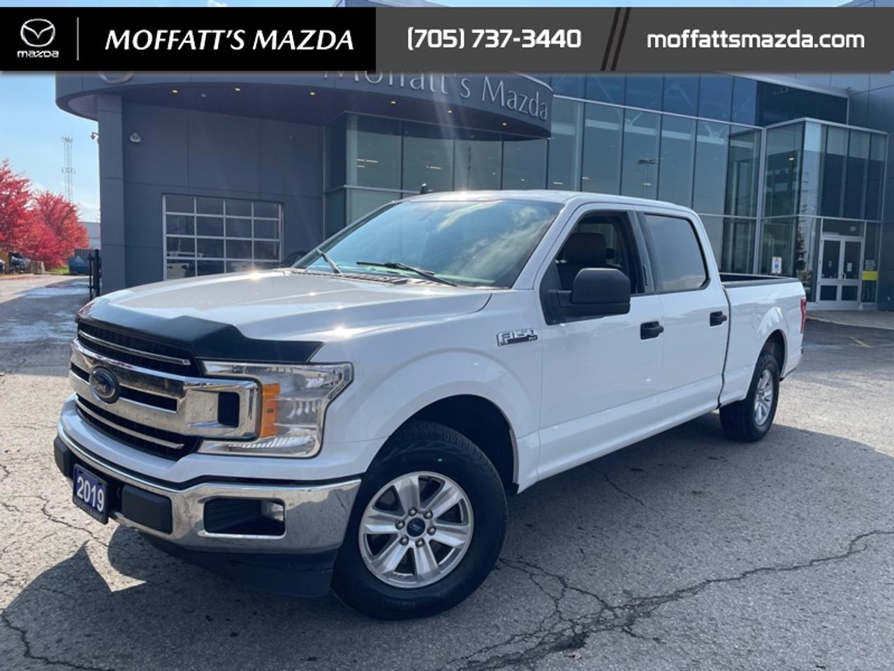 2019 Ford F-150 XL Photo1