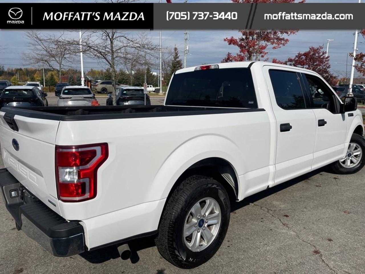 2019 Ford F-150 XL Photo