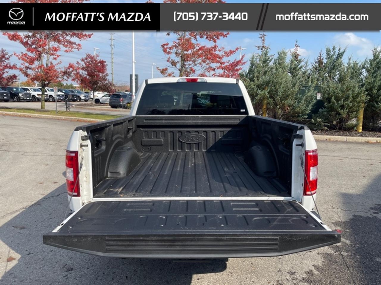 2019 Ford F-150 XL Photo