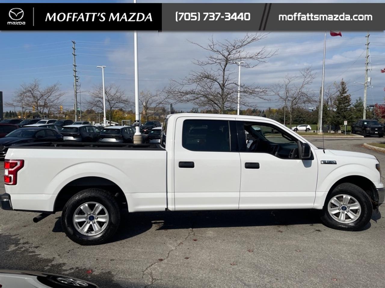 2019 Ford F-150 XL Photo