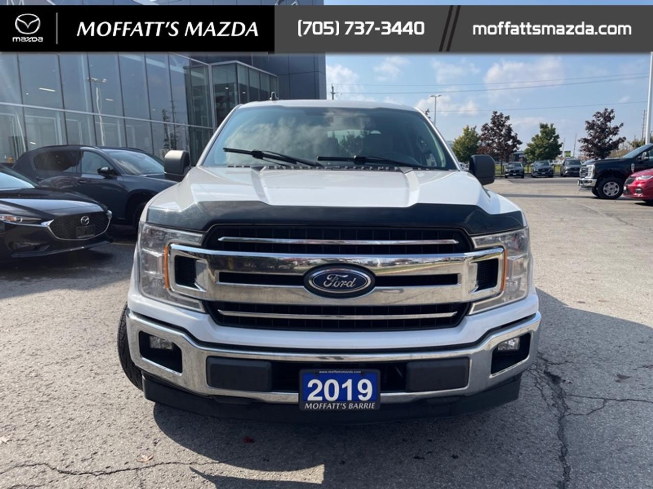 2019 Ford F-150 XL Photo