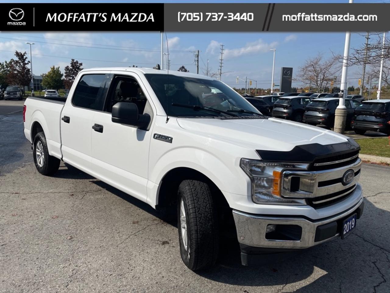 2019 Ford F-150 XL Photo