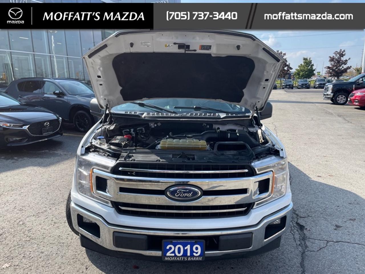 2019 Ford F-150 XL Photo