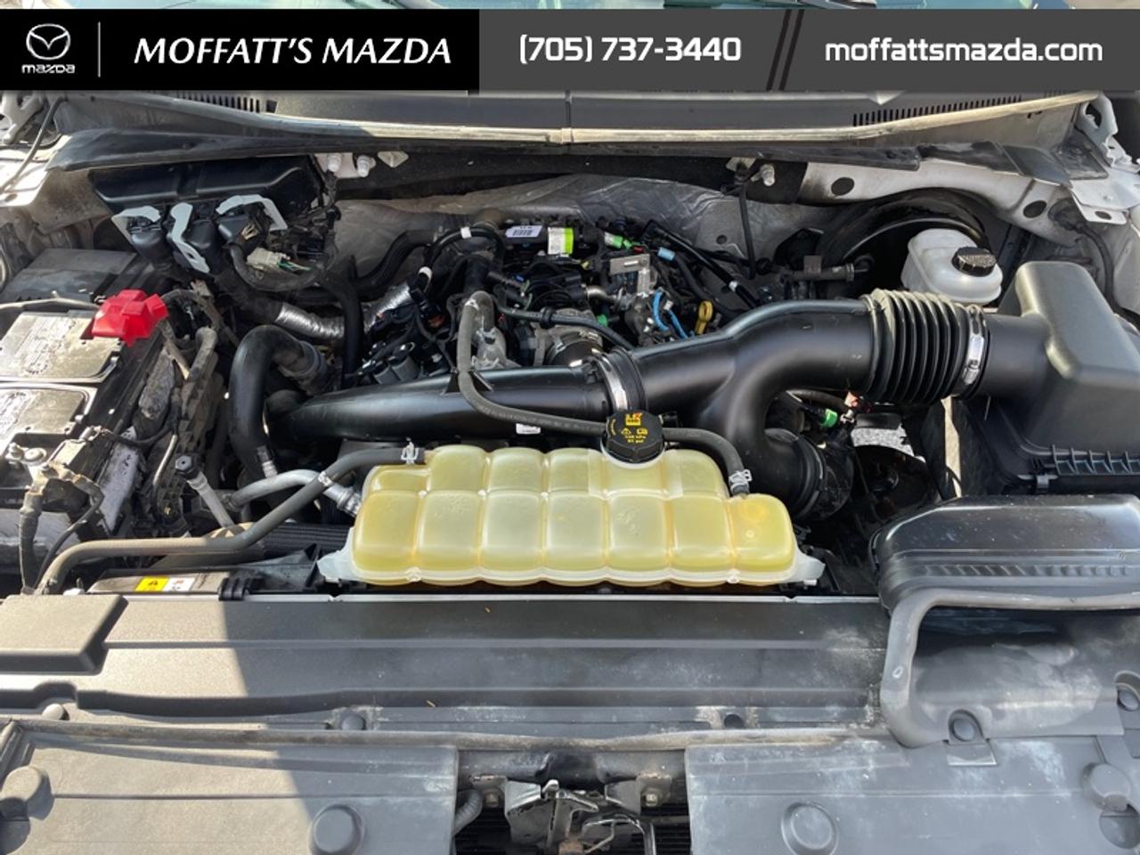 2019 Ford F-150 XL Photo